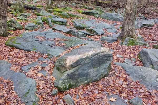 OHV 40 - Rock Run Recreation Area