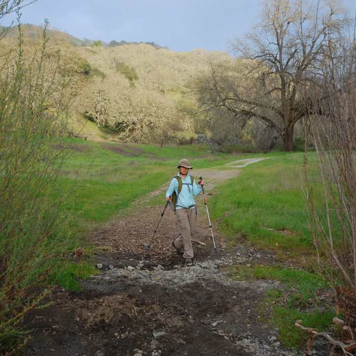 Near Hunting Hollow Road