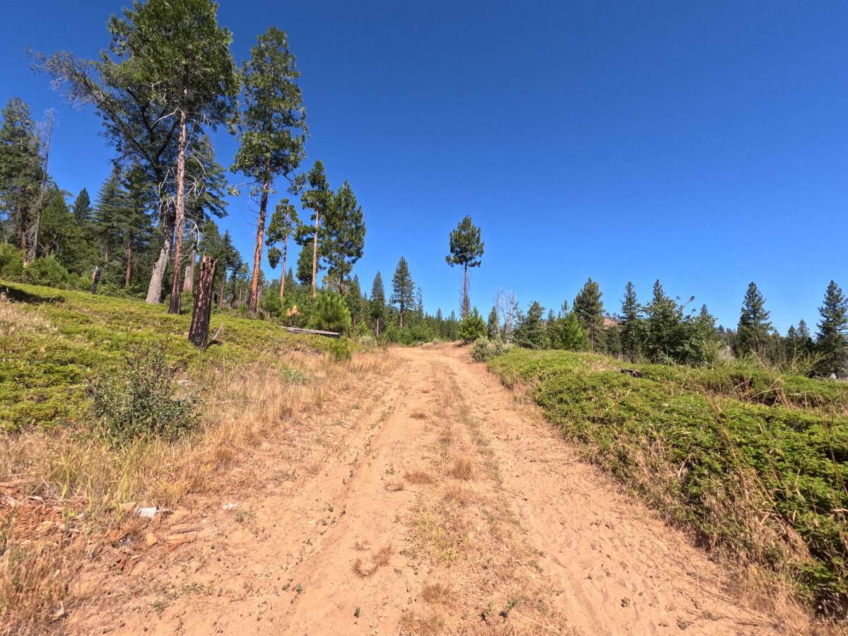 FS 1S41 trail photo