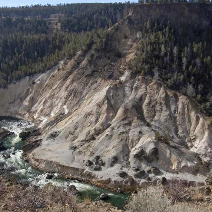 Near Yellowstone River Picnic Trail