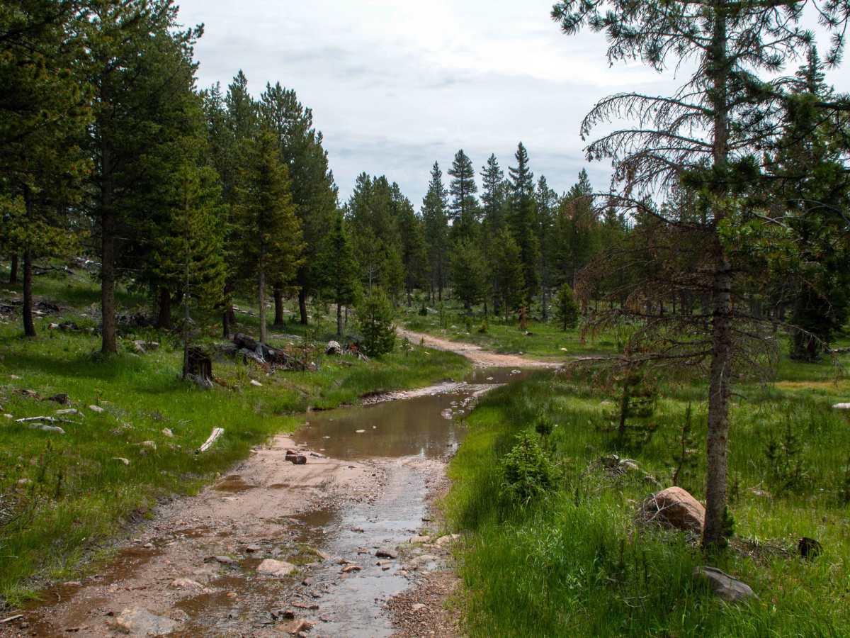 Cobble Creek S14 - FR80949 photo 3