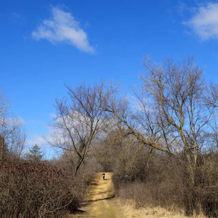 Near Lebanon Hills Central Near Lebanon Hills Central