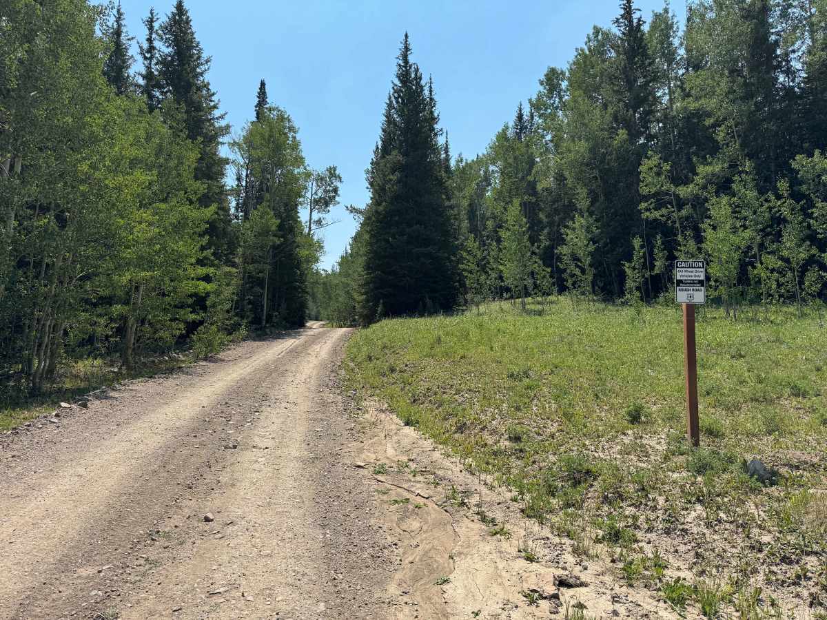 Harper Road - FS 915 trail photo