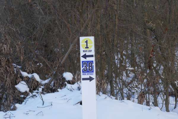 Trail 38