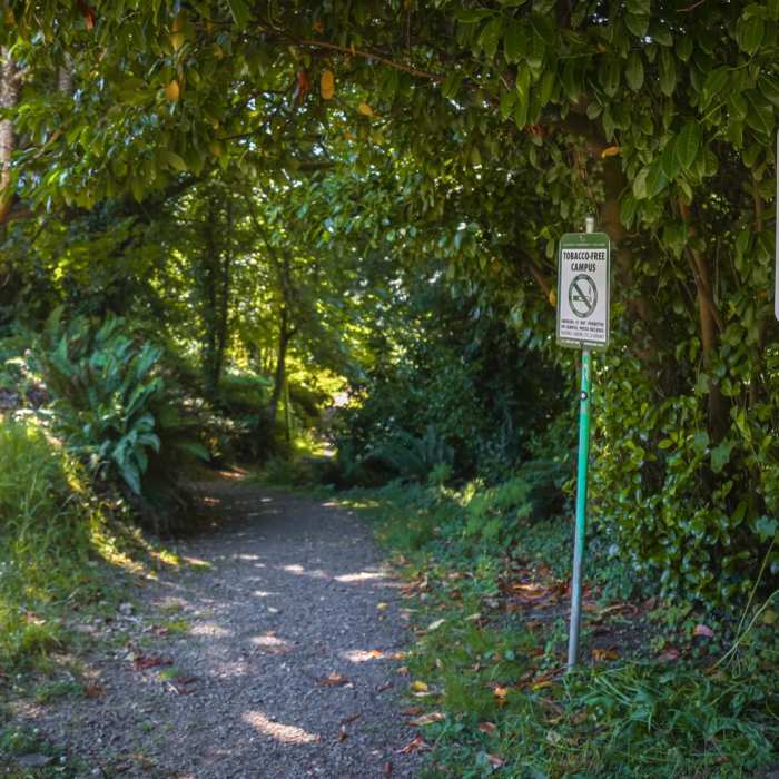 Near Astoria Column via CCC Trail