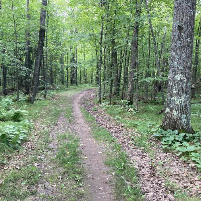 Near Greely Creek Trail