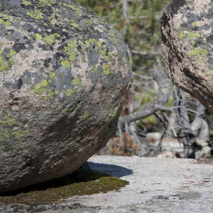 Near Redfish Lake Canyon
