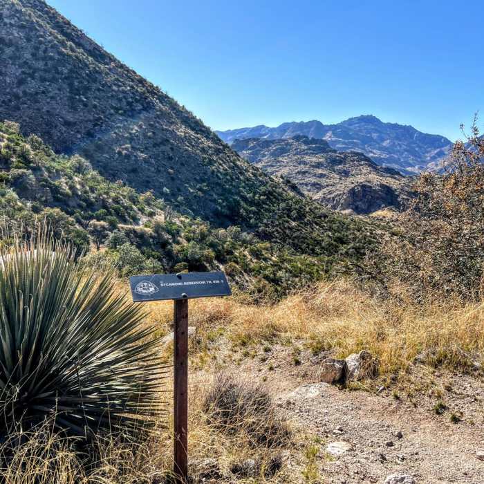 Near Santa Catalina Mountains Loop Near Santa Catalina Mountains Loop