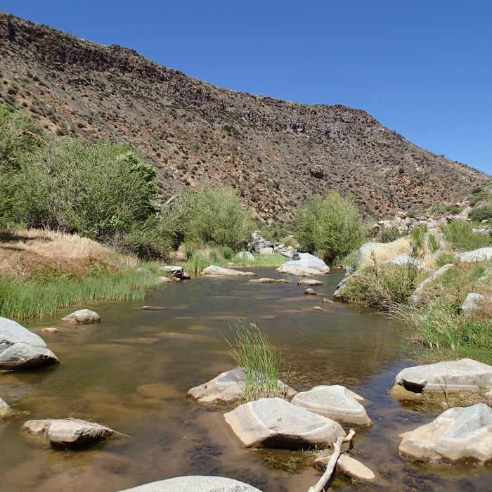 Near Badger Springs Wash Trail