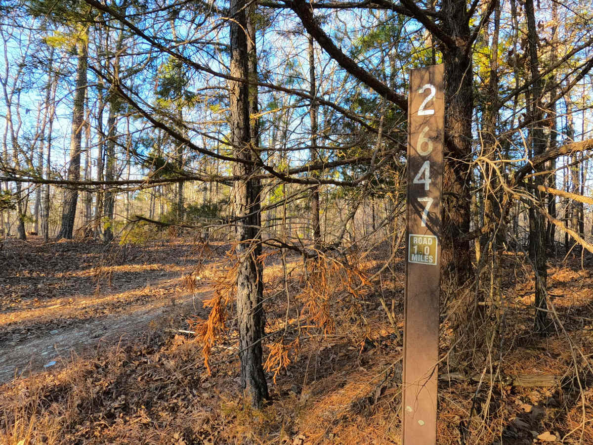 Town Hollow - FS 2647 trail photo