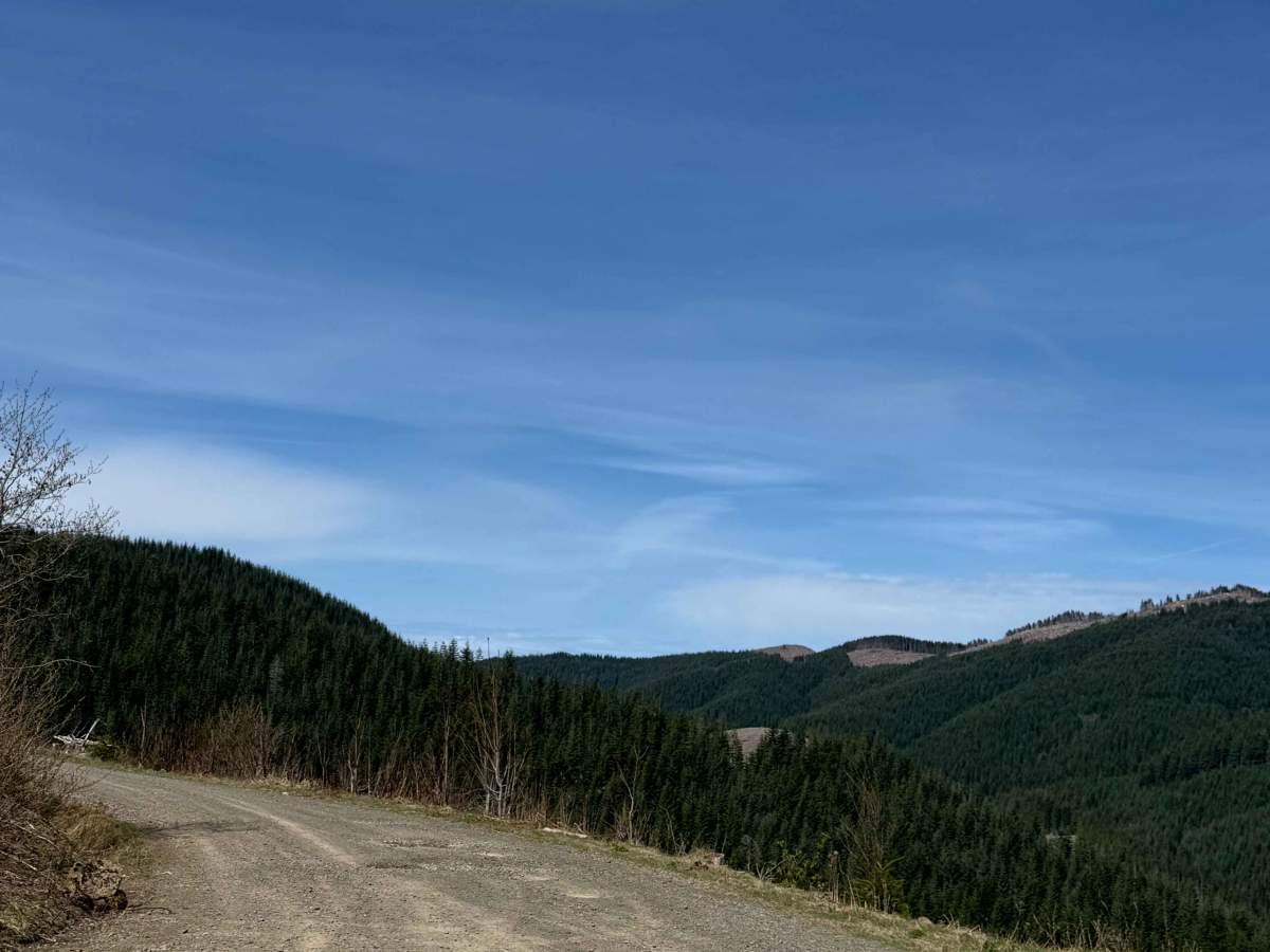 Newaukum Road - FS 7100 photo 5