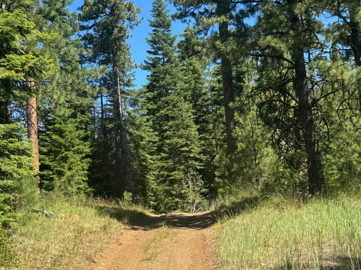 Bluegrass Butte - FS 1030-180 photo 2