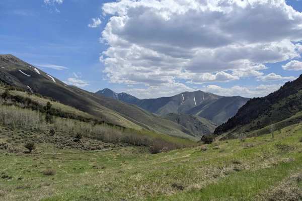 North Fork Big Creek Road - NF43012