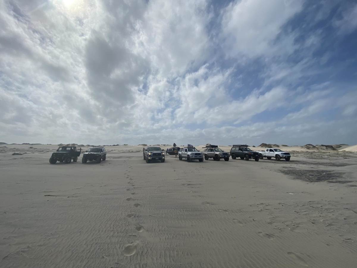South Padre Island Access 6 photo 5
