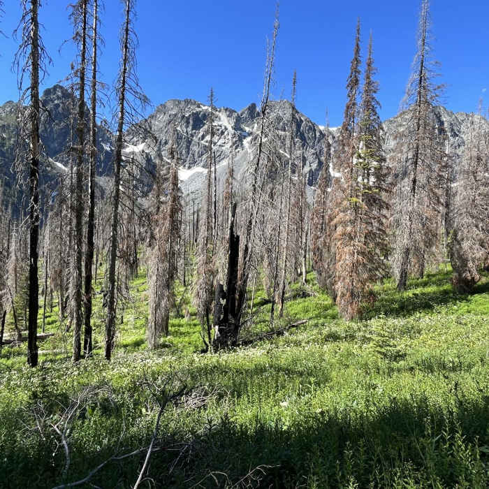 Near Copper Glance Lake