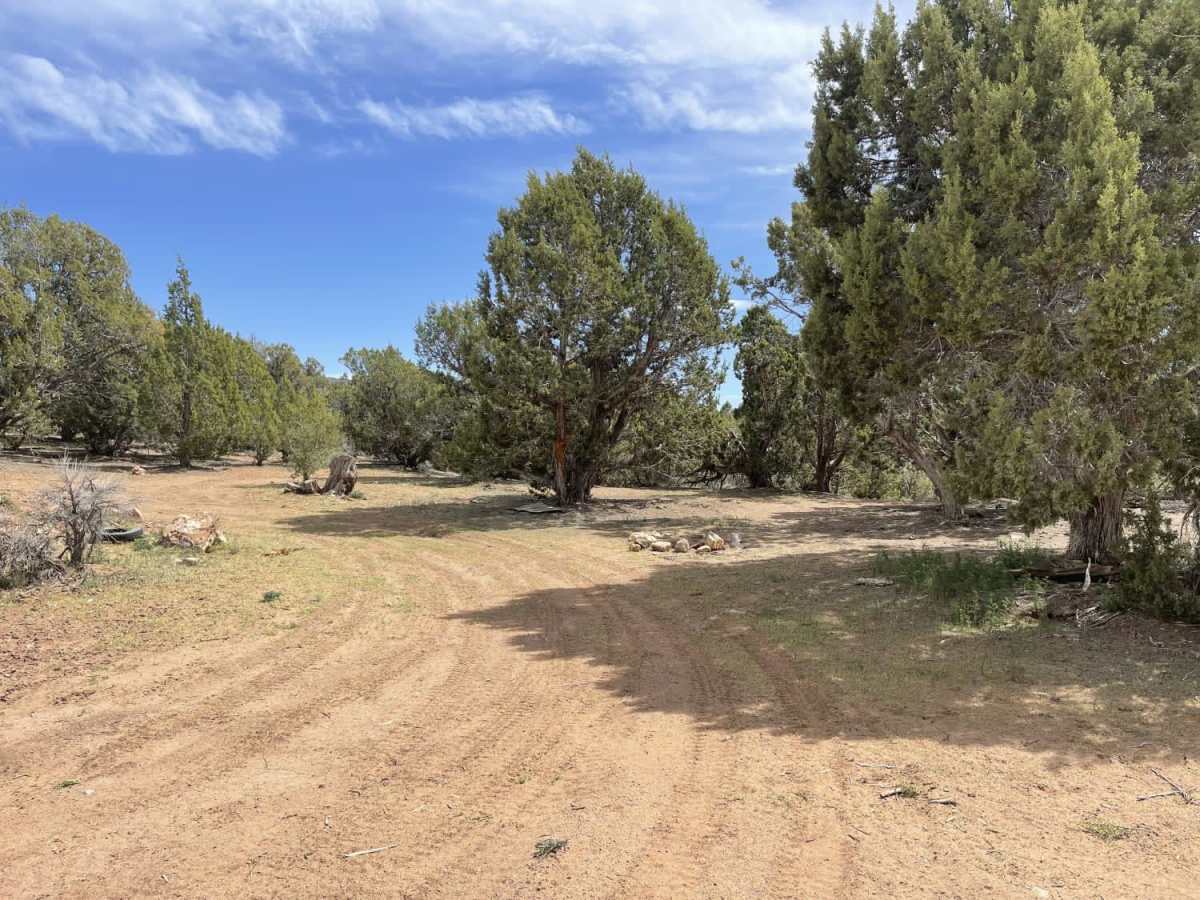 Juniper Ridge photo 2
