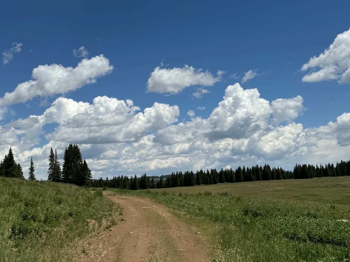 Transfer Trail North photo 6