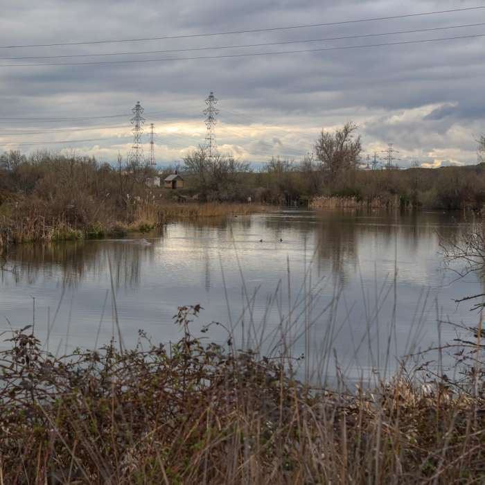 Near McNary Nature Trail
