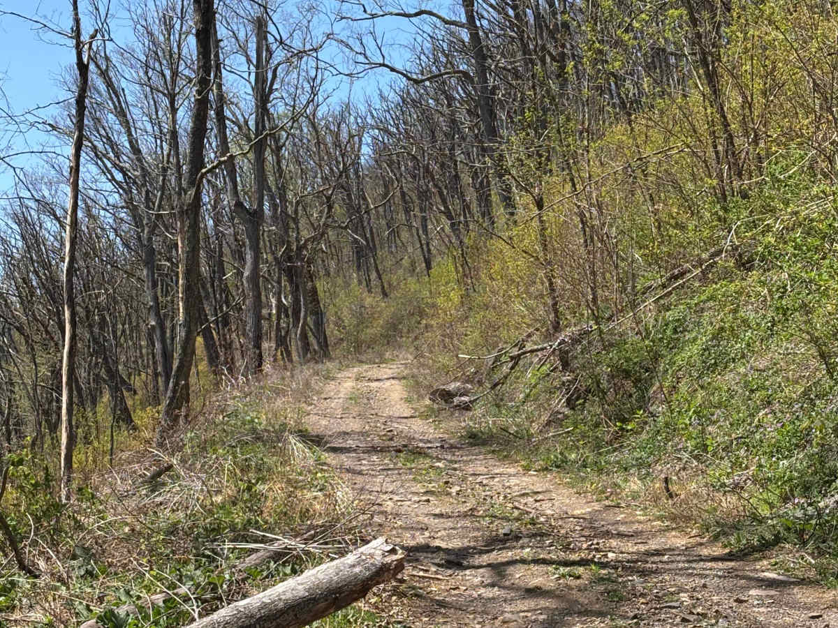 Hite Hollow photo 6
