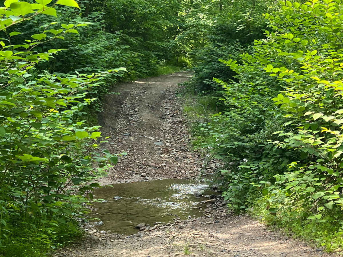 Bufflick Branch Trail - Q76 photo 4