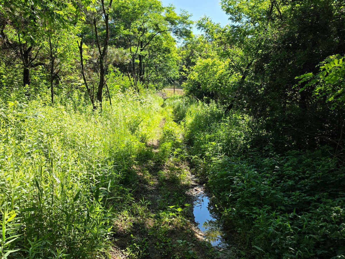Single Track J1 photo 2