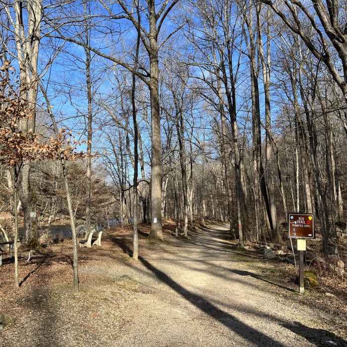 Near Stephens State Park Loop Near Stephens State Park Loop