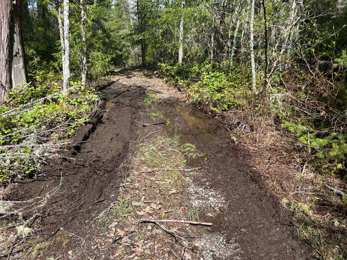 Canyon Road photo 4