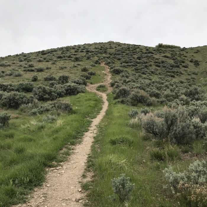 Near Jack's Mountain