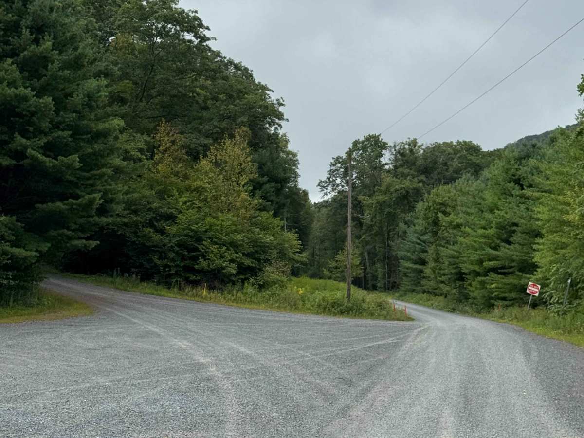 Upper Grays Run Road trail photo