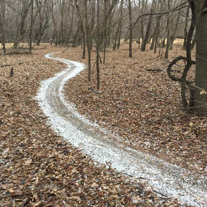Near Traverse des Sioux Trails