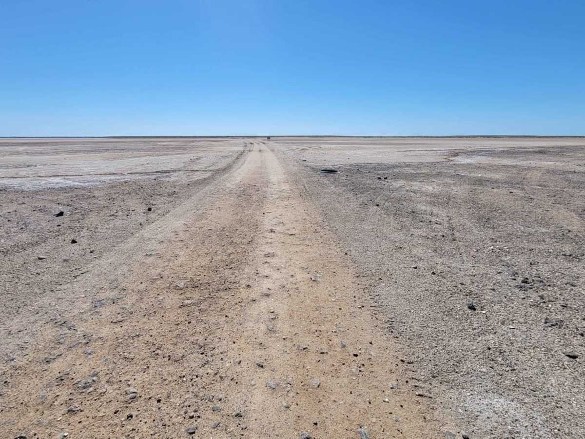 Laguna San Ignacio photo 3