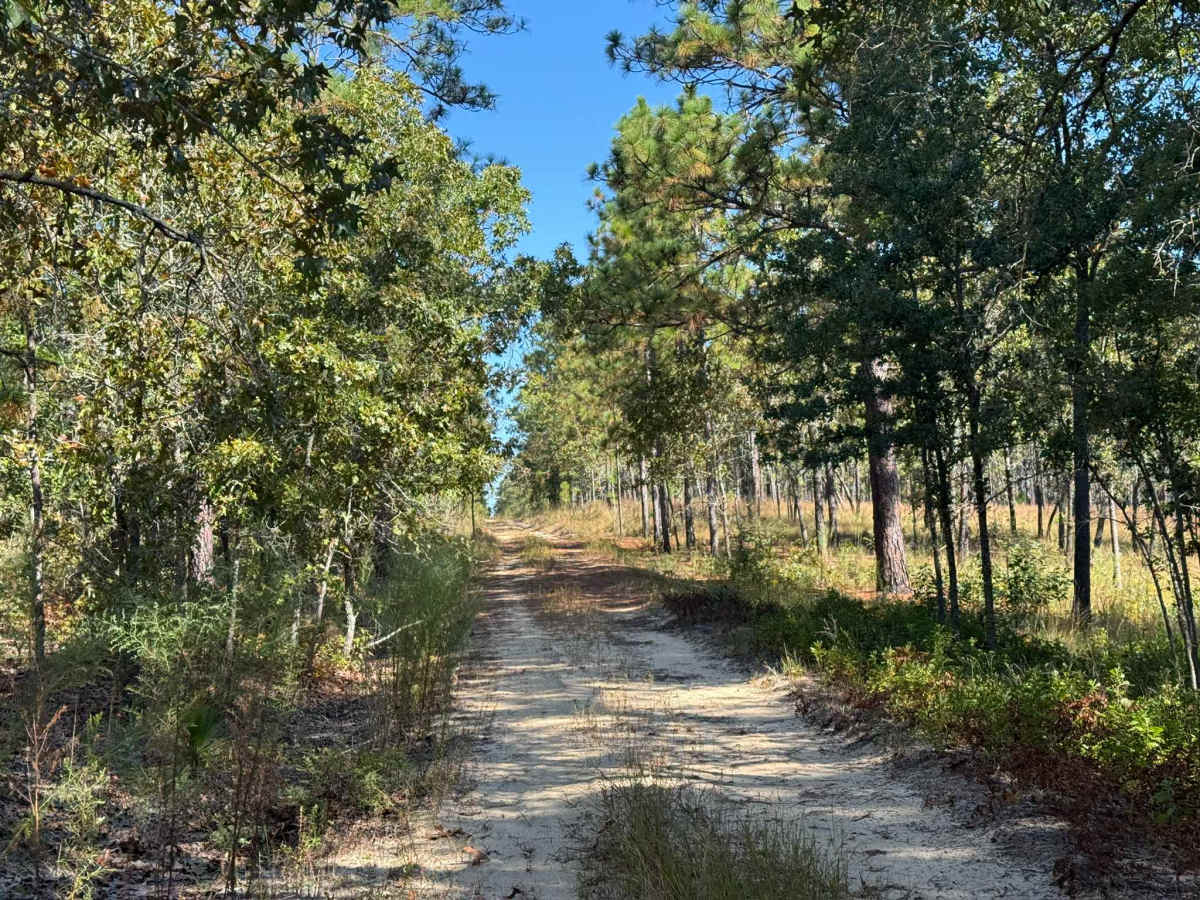 Telephone Ln trail photo