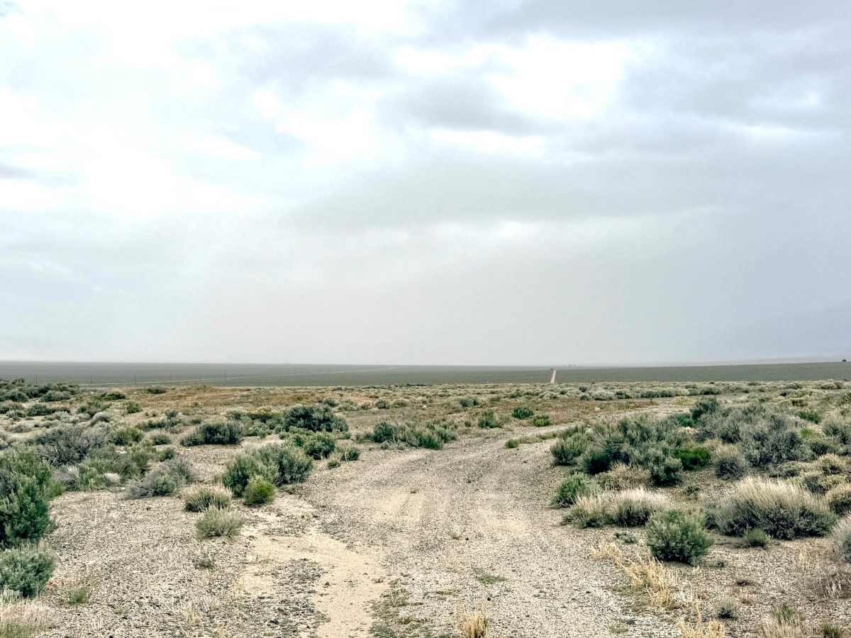 Lowboy Mine - FS 43251 photo 4