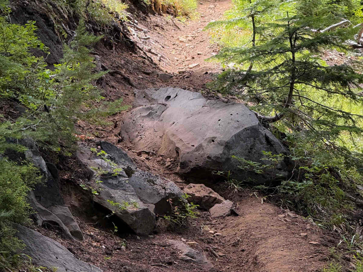Indigo Extension Trail   photo 5