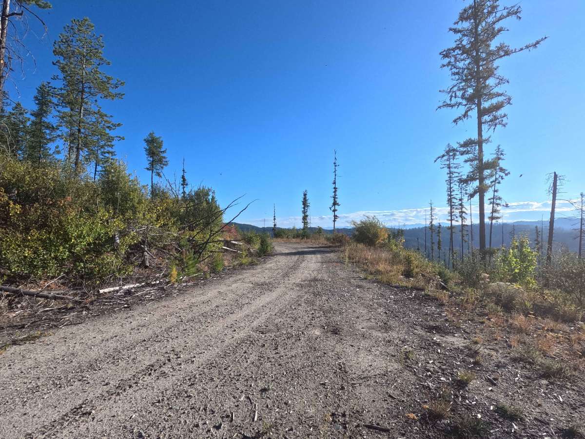 Klahowya Creek - FS 1075 photo 6