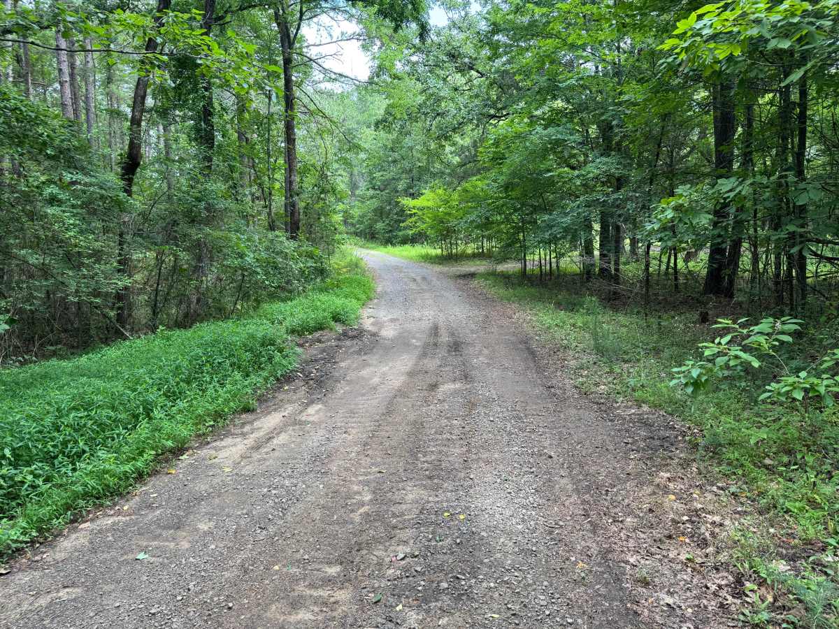 Owens Camp trail photo