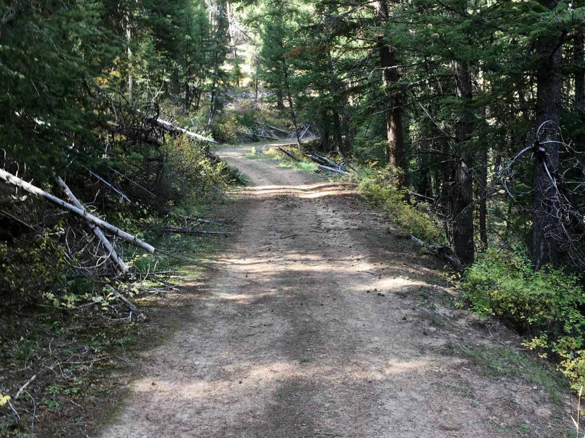 Sagebrush ATV Trail photo 3