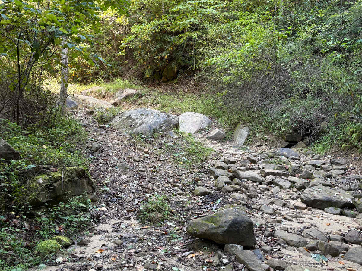 Trail 5 FFAT Boneyard photo 5