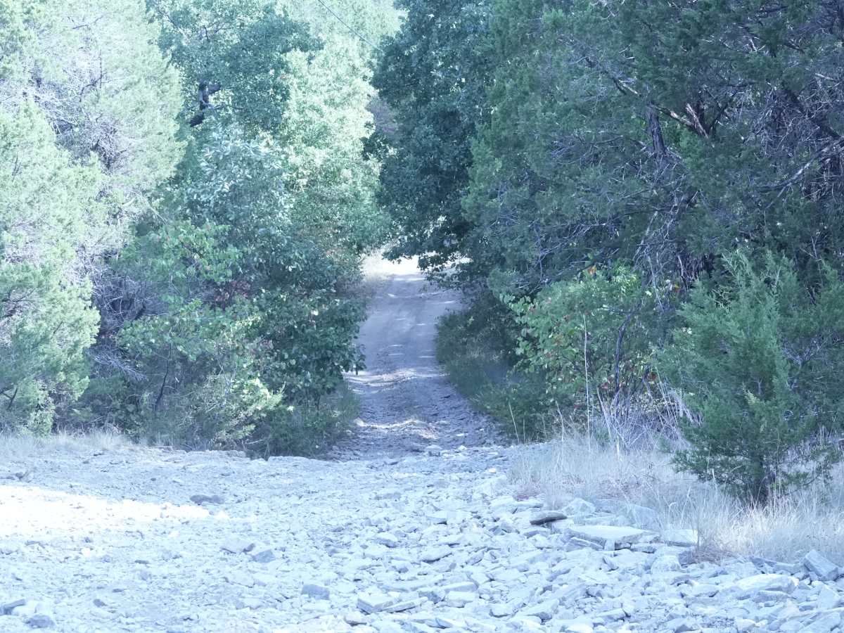 O' Schmidt! trail photo