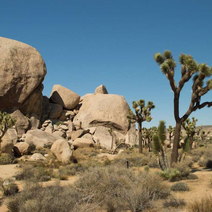 Near Cap Rock Nature Trail
