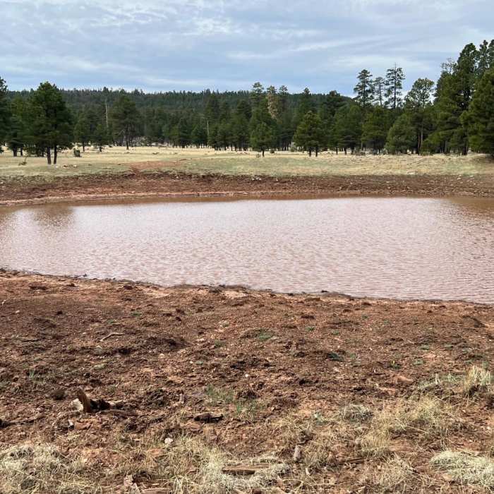 Near Arizona Trail Passage 28: Happy Jack