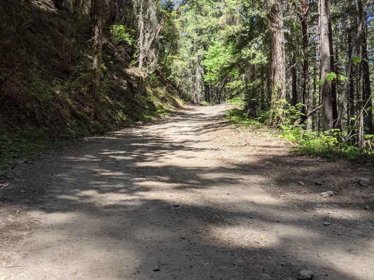 Anderson Butte Road photo 3