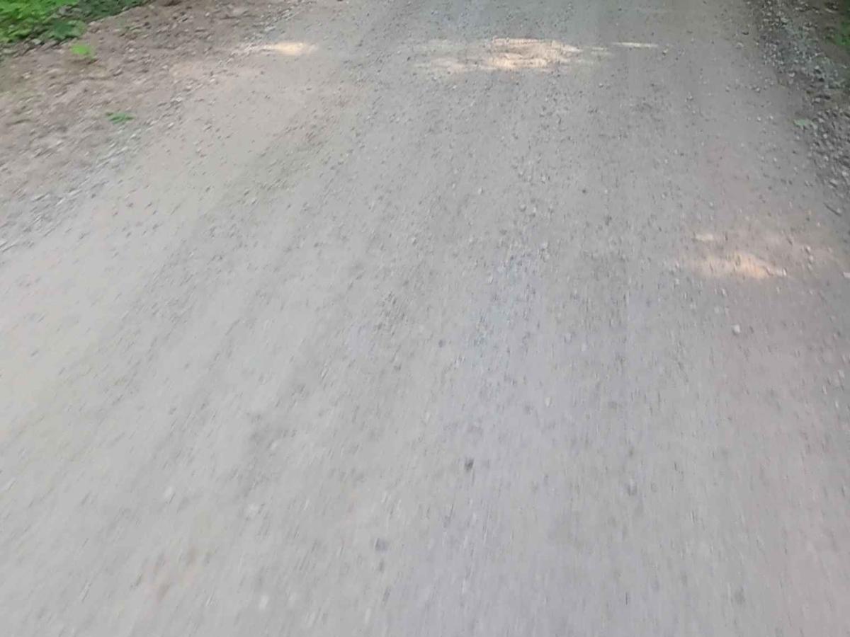 Sporley Lake Road photo 5
