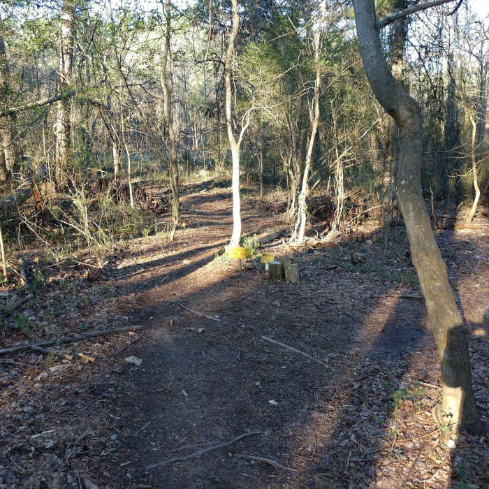 Near Enchanted Forest Loop