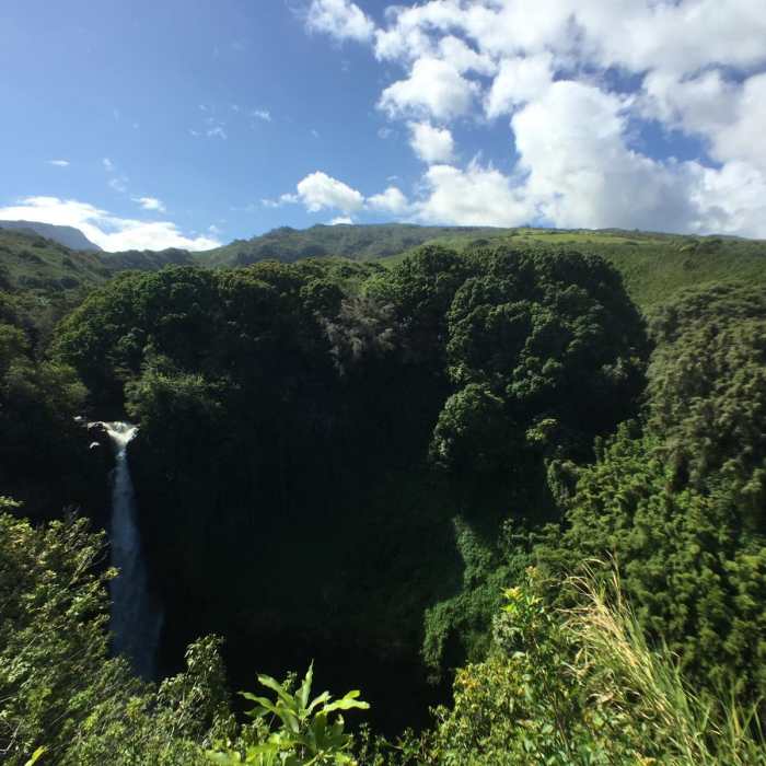 Near Pipiwai Trail Near Pipiwai Trail