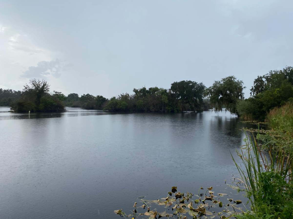 Paddling Trail Road photo 6