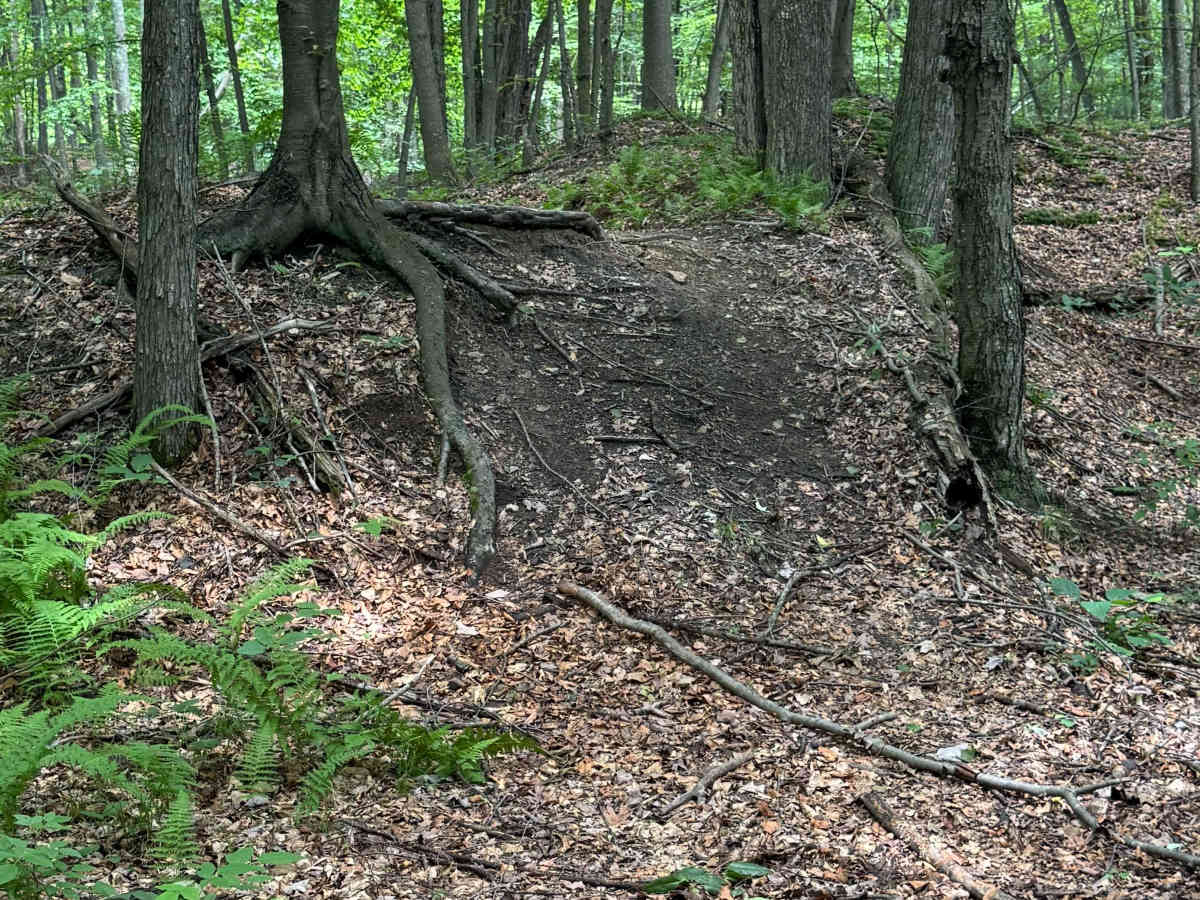 Trail 43 photo 3