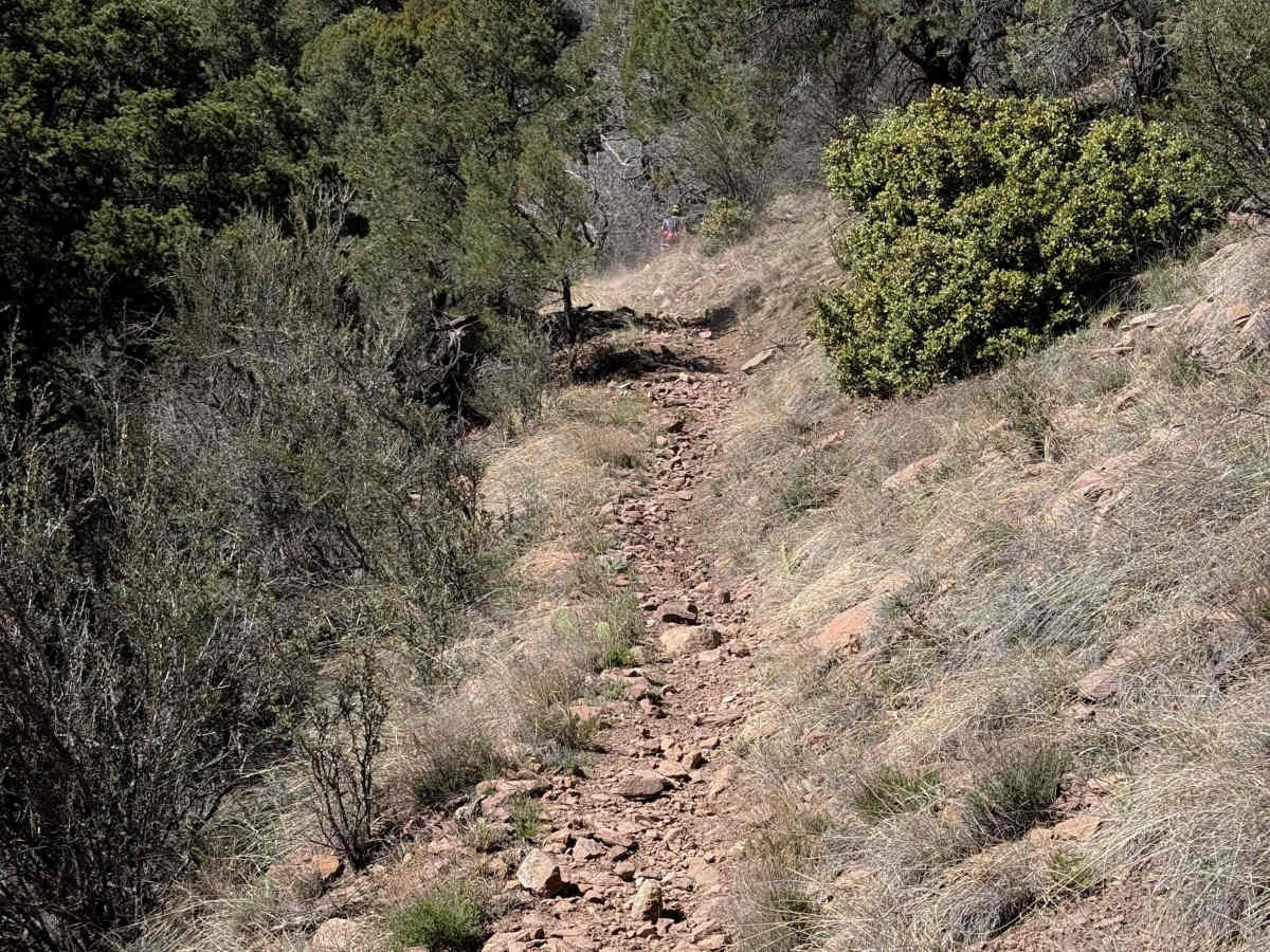 Hyde Mountain Trail #6  photo 4