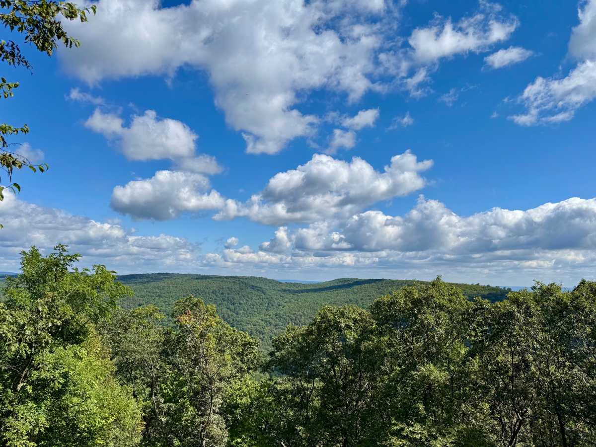 Martin Hill Road trail photo