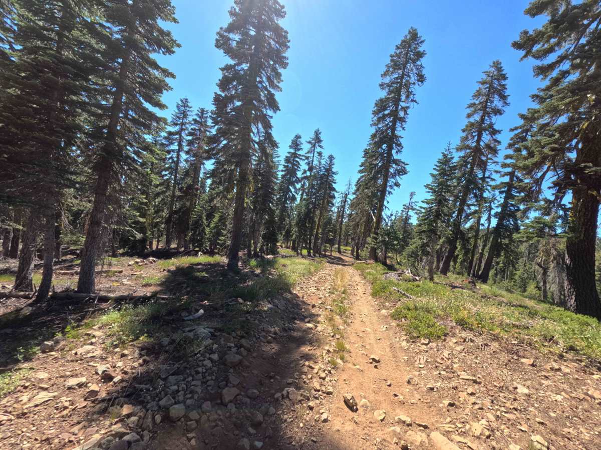 Lots A Lakes OHV Trail - FS 12E66 photo 3